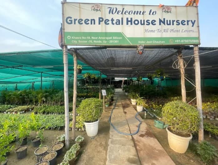Green Petal House Nursery