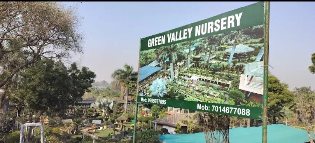 Green Valley Nursery