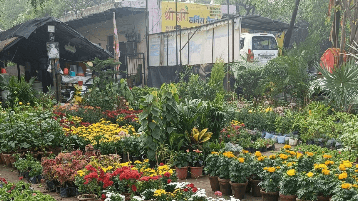 Harsh Prashant Nursery