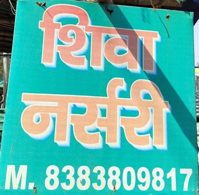 Shiva Nursery