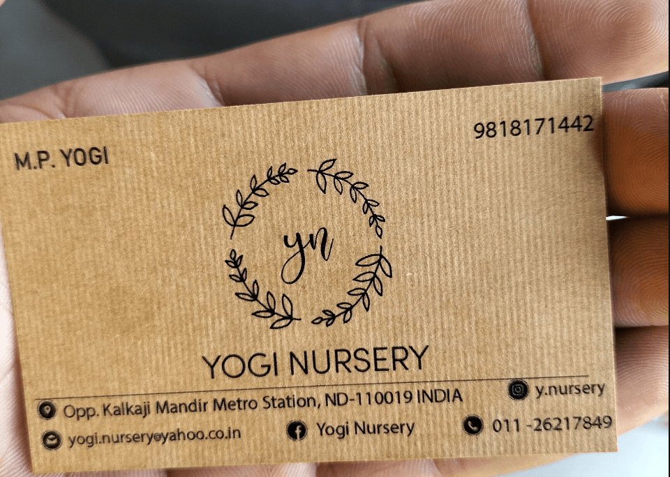 Yogi Nursery
